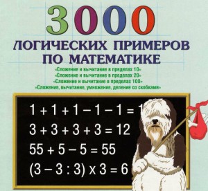 3000