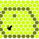 Поймай кота! Флеш-игра